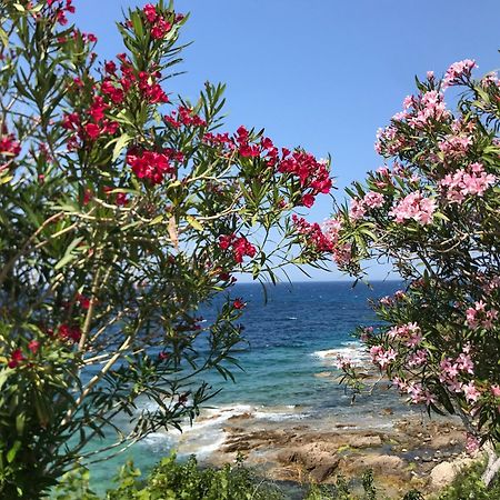 LʼÎle-RousseNidu Accogliente In Balagnaアパートメント エクステリア 写真